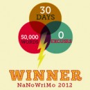 How to be a #NaNo Winner