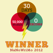 How did #NaNoWriMo 2013 go for you? (poll)